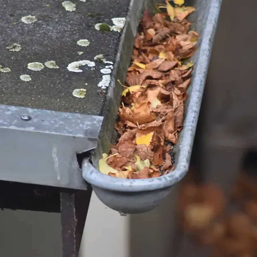 Roof repair and gutter cleaning service in Senatobia, MS