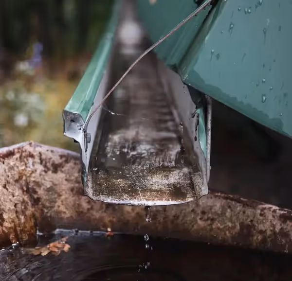 Cleaned gutter in DeSoto County