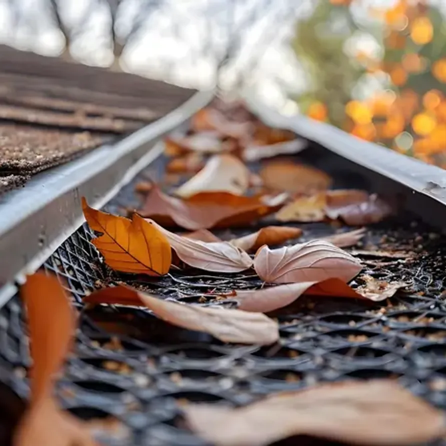 Leaves in a gutter before cleaning. Memphis TN